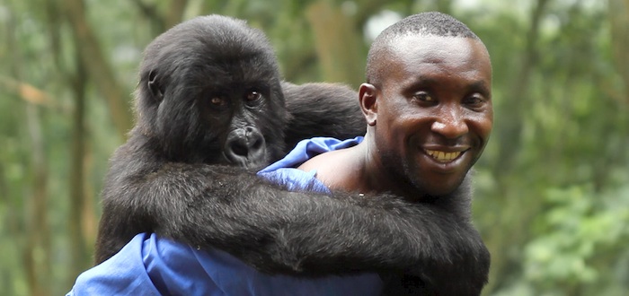 Barry Jenkins to direct Netflix film based on Virunga