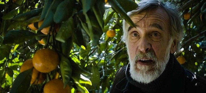 VOD film review: Tangerines