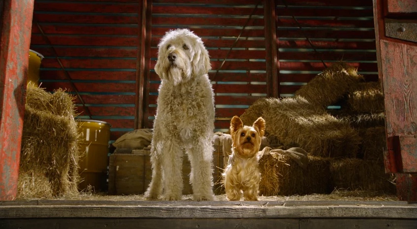 Netflix for Kids: Pup Star