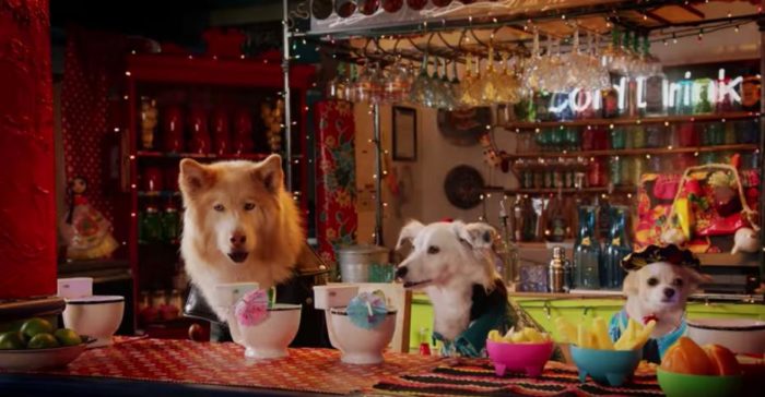 12 Days of Netflix: Puppy Star Christmas