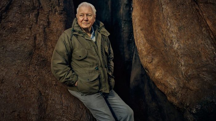 The Green Planet: BBC One announces new Attenborough series