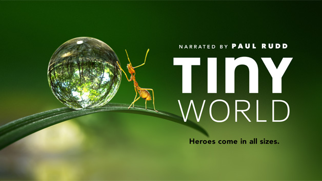 Trailer: Paul Rudd narrates Tiny World for Apple TV+