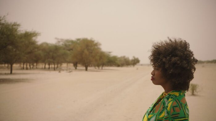 Raindance 2020 film reviews: I Am Not a Hero, The Woman with Leopard Shoes, The Great Green Wall, The State of Texas vs Melissa