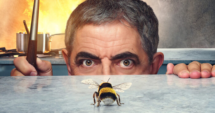 Netflix UK TV review: Man vs Bee