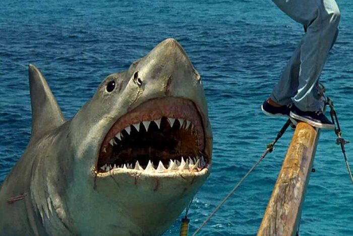 Monster Movie Monday: Jaws: The Revenge (1987)