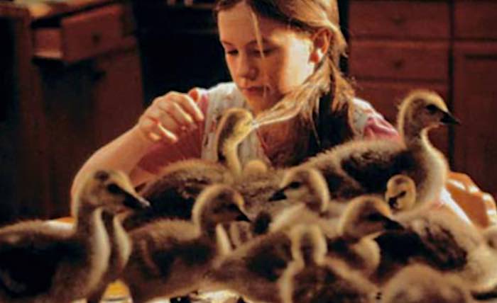 The 90s on Netflix: Fly Away Home (1996)